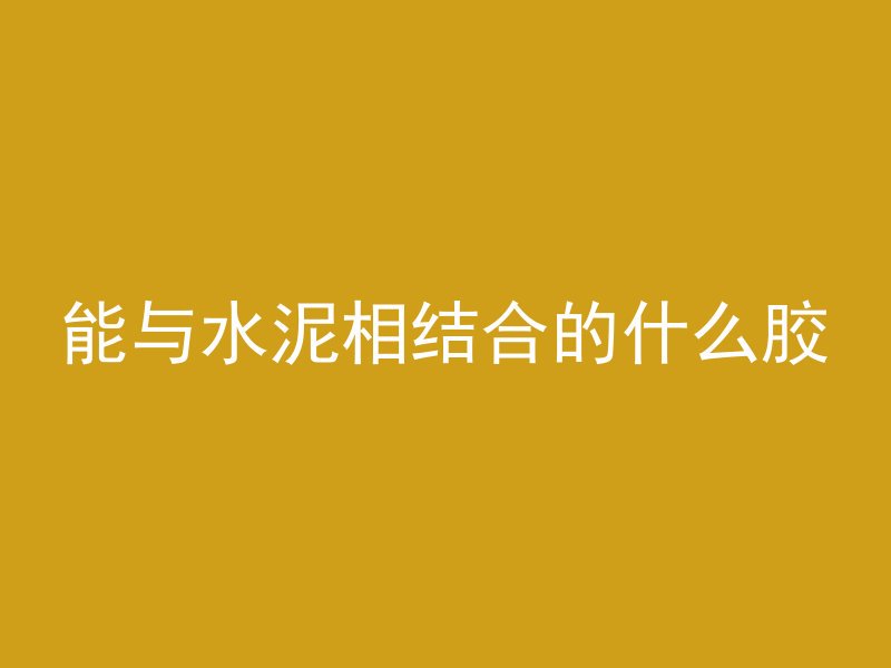 能与水泥相结合的什么胶