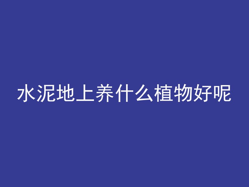 屋顶混凝土开裂怎么维权