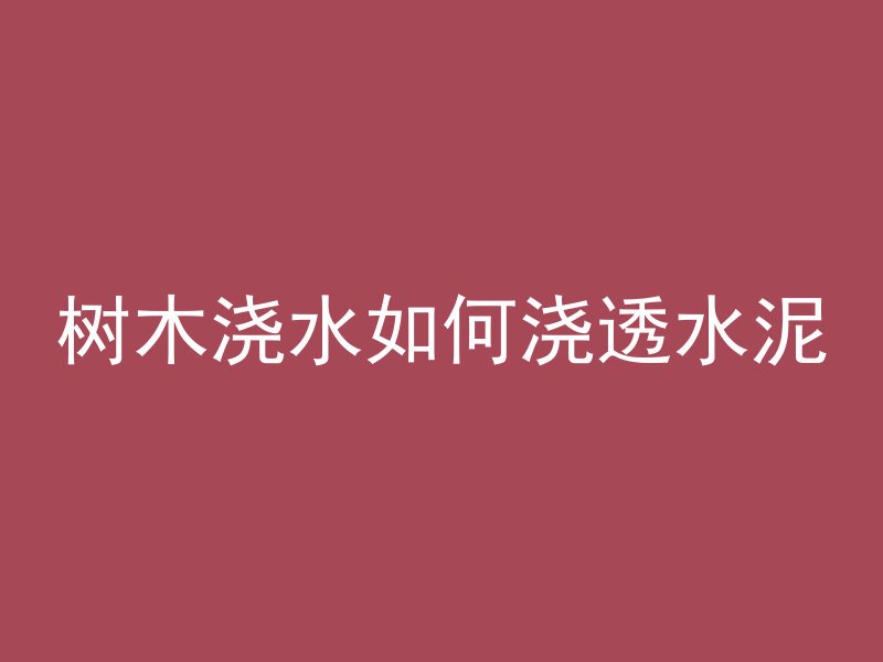 树木浇水如何浇透水泥