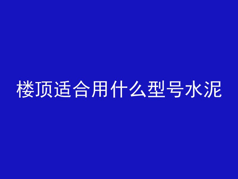 楼顶适合用什么型号水泥