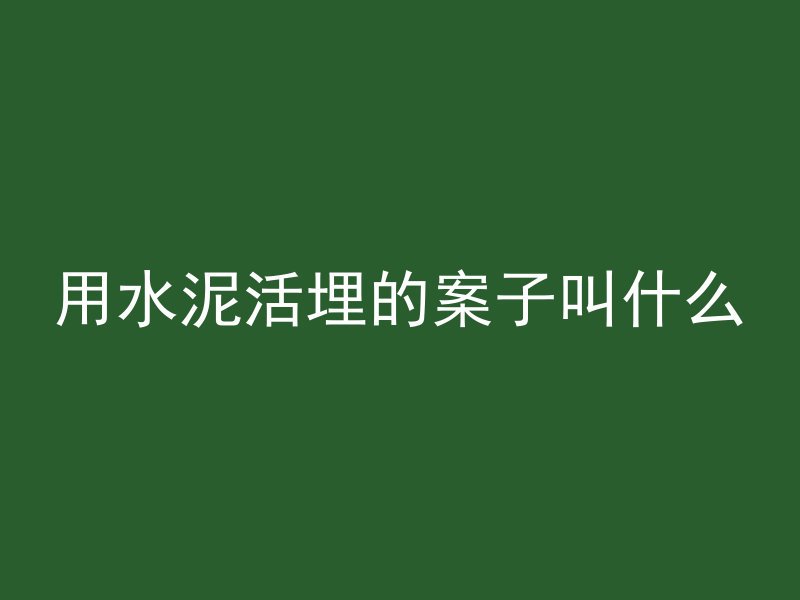 用水泥活埋的案子叫什么