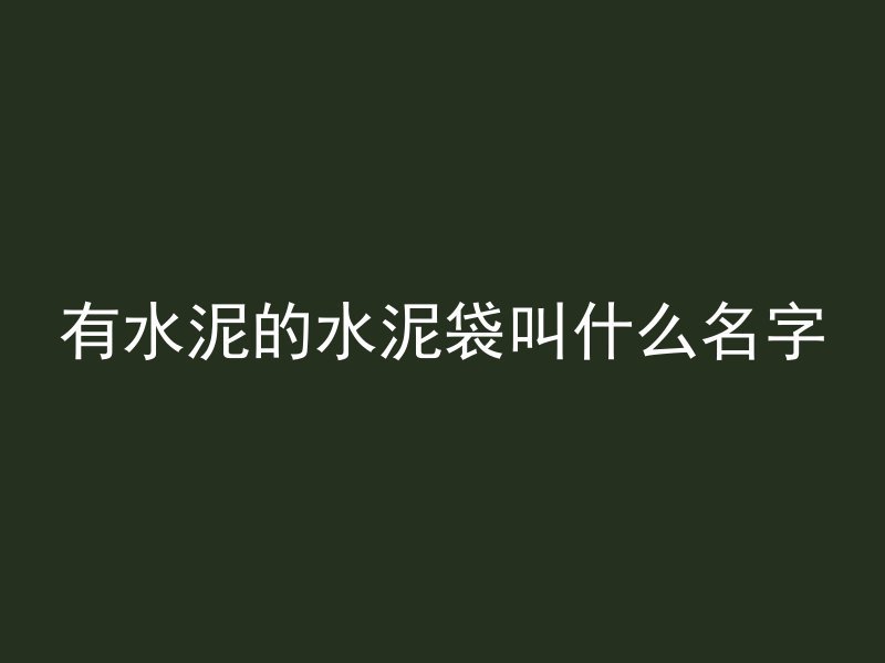 有水泥的水泥袋叫什么名字