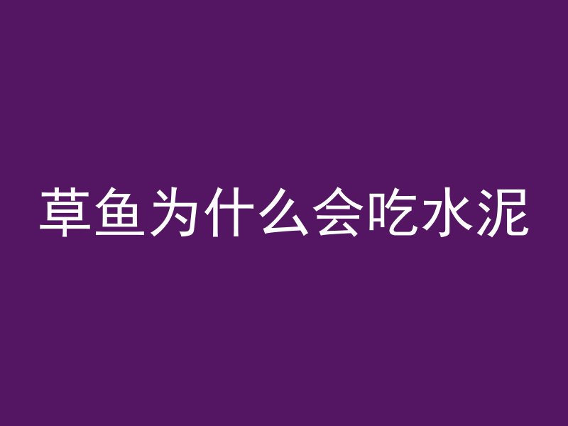 混凝土房顶明线怎么装饰