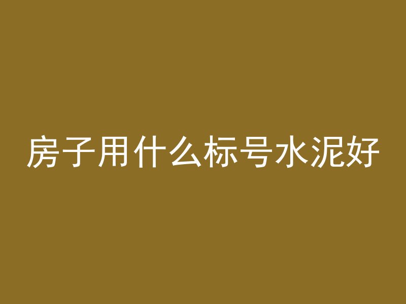 房子用什么标号水泥好