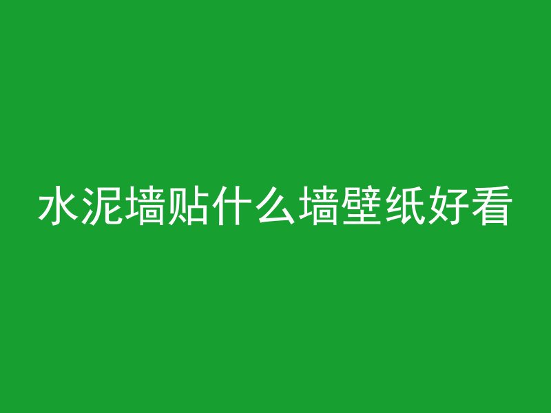 水泥墙贴什么墙壁纸好看