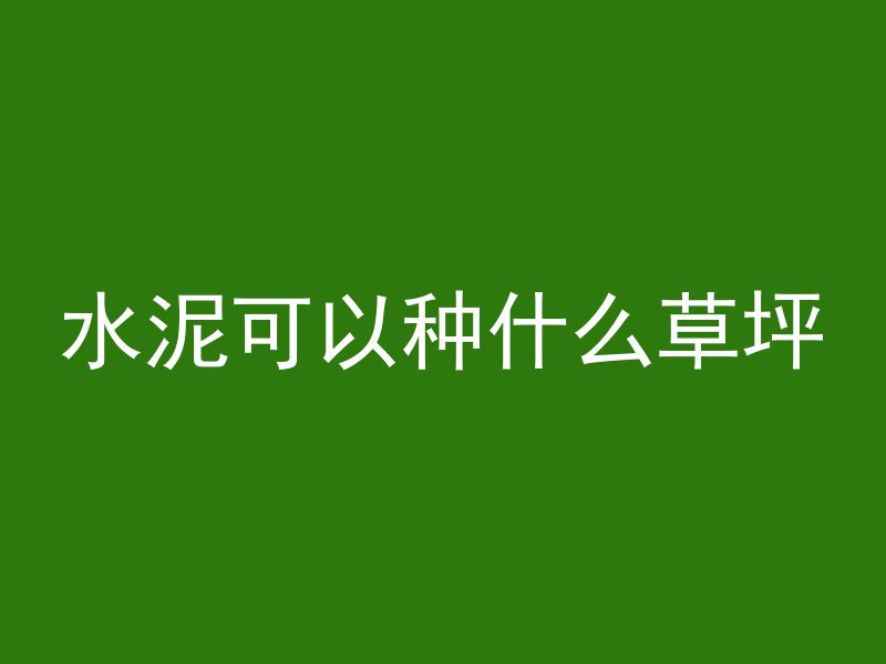 水泥可以种什么草坪