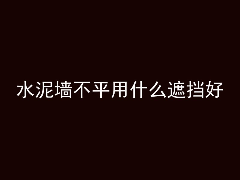 水泥墙不平用什么遮挡好