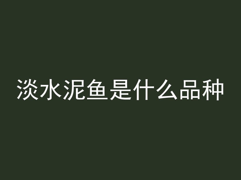 大水泥管花盆怎么安装的