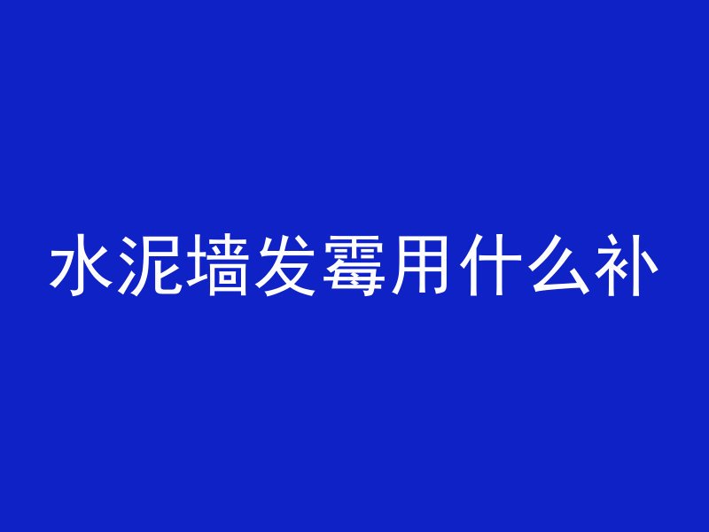 水泥墙发霉用什么补