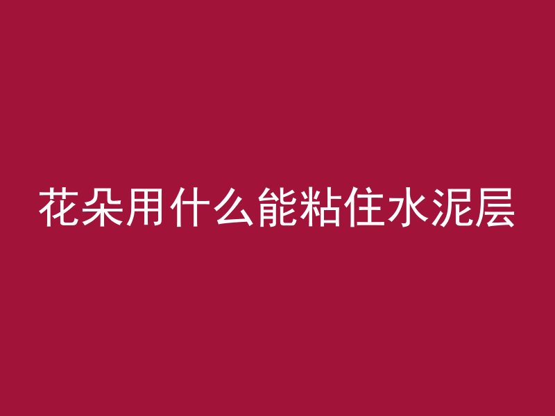 花朵用什么能粘住水泥层