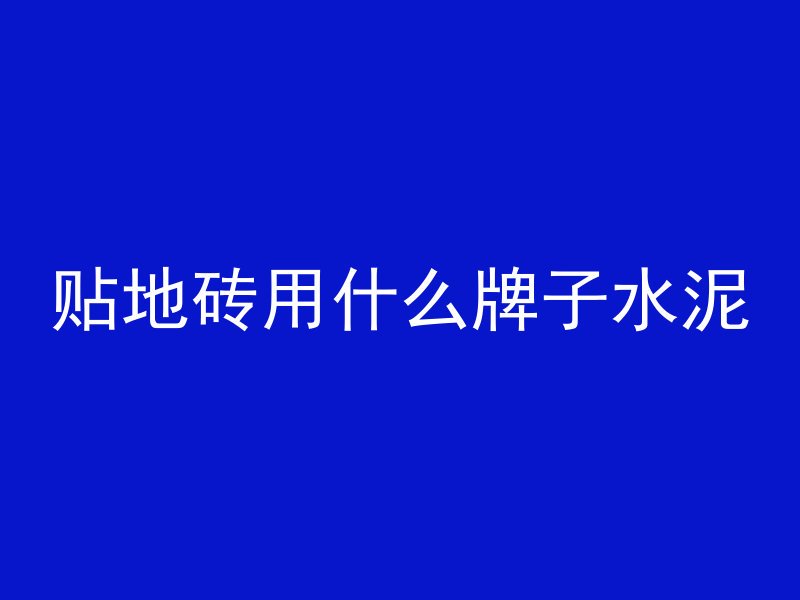 贴地砖用什么牌子水泥