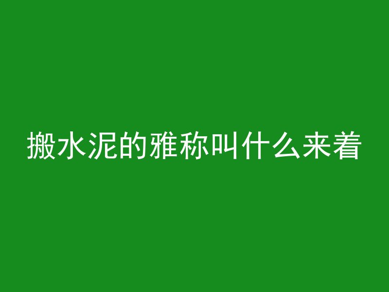 搬水泥的雅称叫什么来着