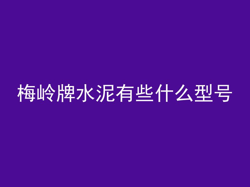 梅岭牌水泥有些什么型号