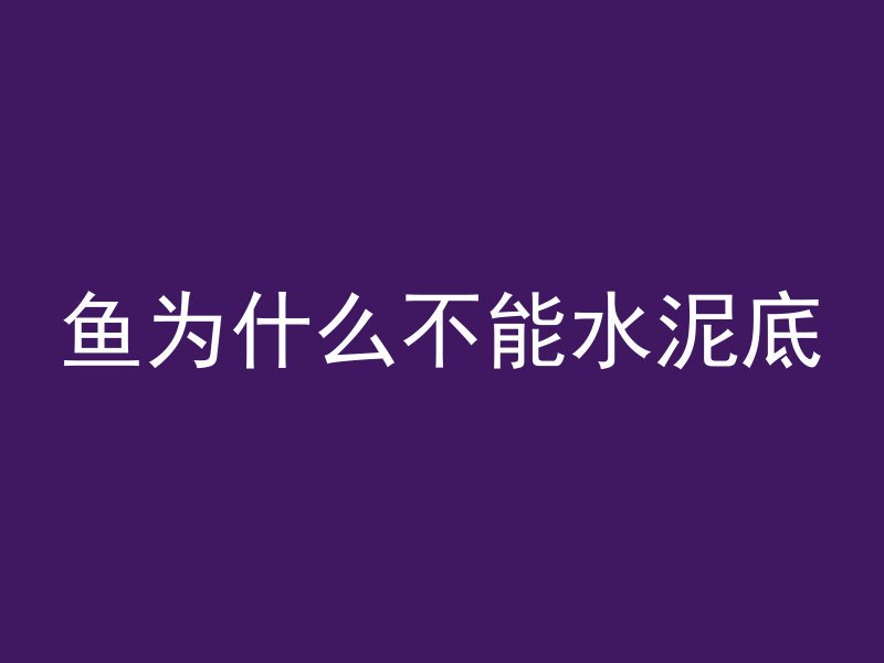 鱼为什么不能水泥底