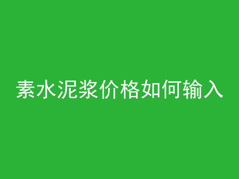 素水泥浆价格如何输入