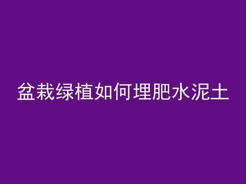 盆栽绿植如何埋肥水泥土