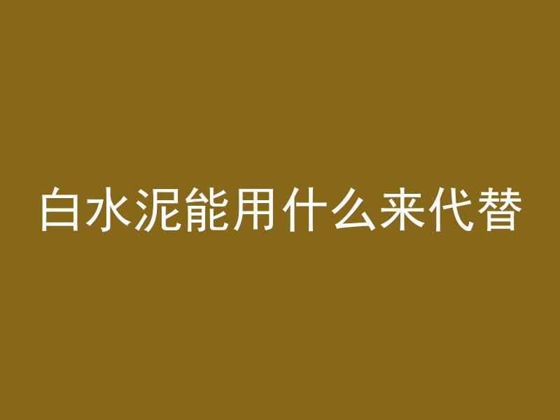 白水泥能用什么来代替