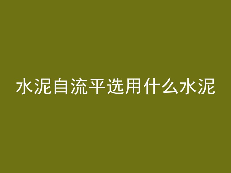 孔桩为什么要做声测管