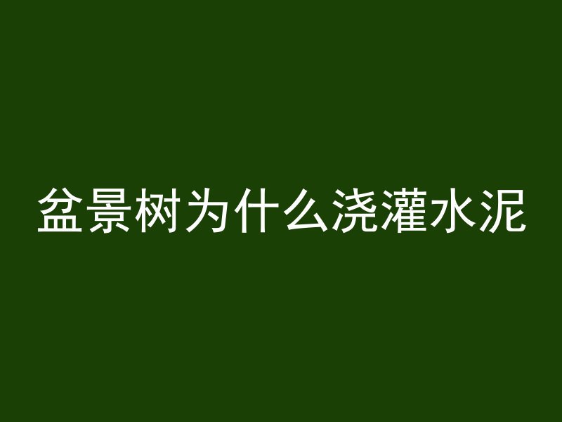 盆景树为什么浇灌水泥