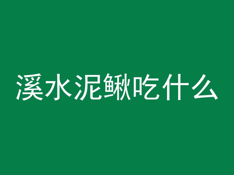 溪水泥鳅吃什么