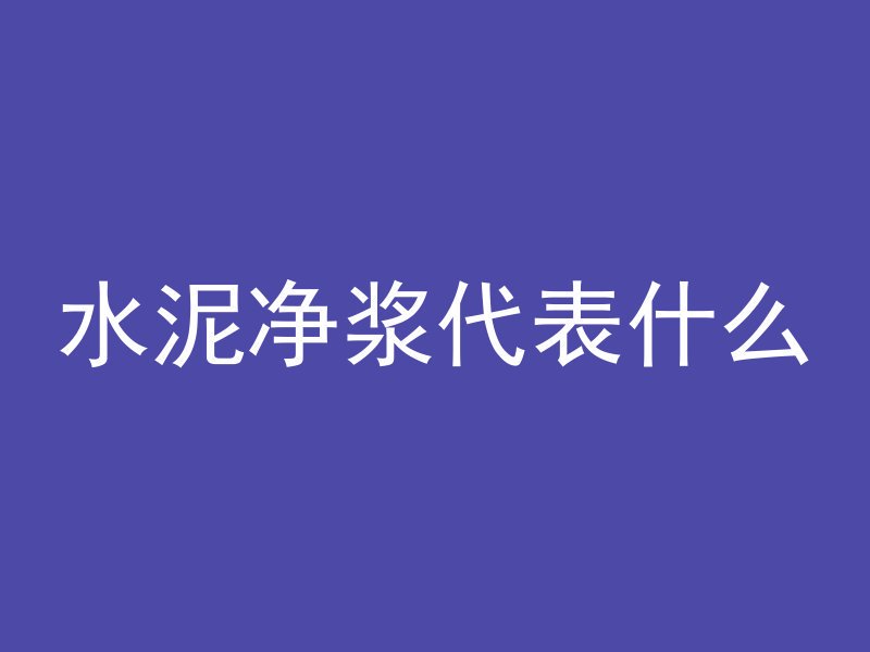 水泥净浆代表什么