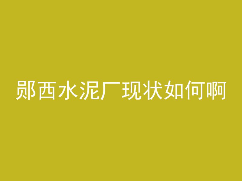 郧西水泥厂现状如何啊