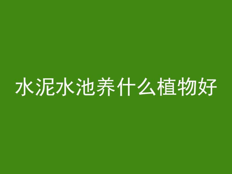 水泥水池养什么植物好