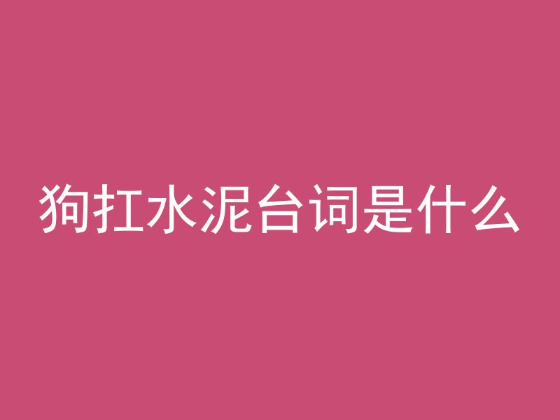 狗扛水泥台词是什么