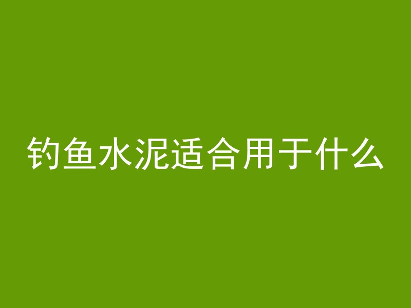 钓鱼水泥适合用于什么