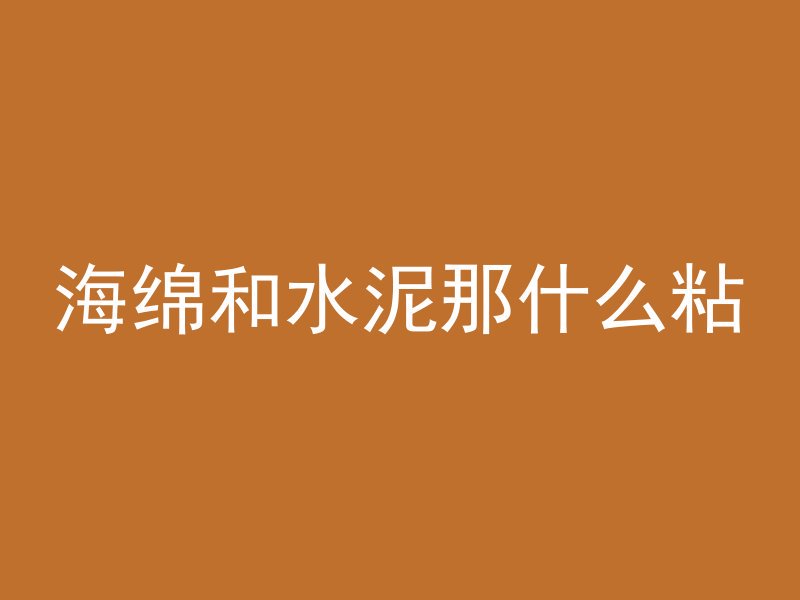 海绵和水泥那什么粘