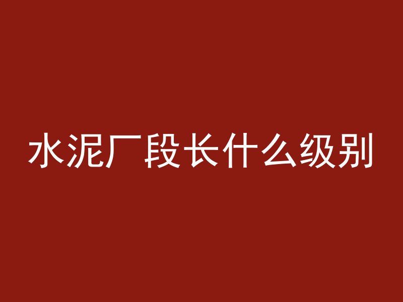 水泥厂段长什么级别