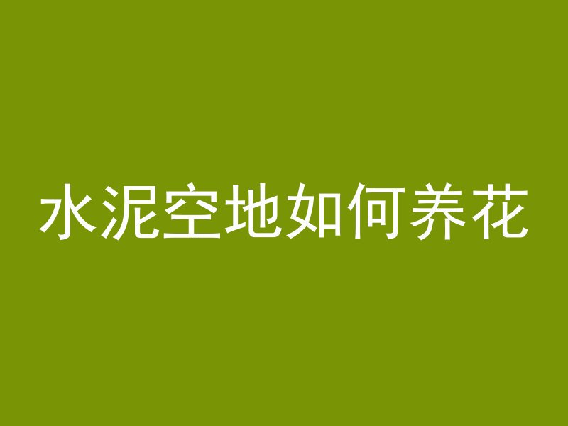 水泥空地如何养花