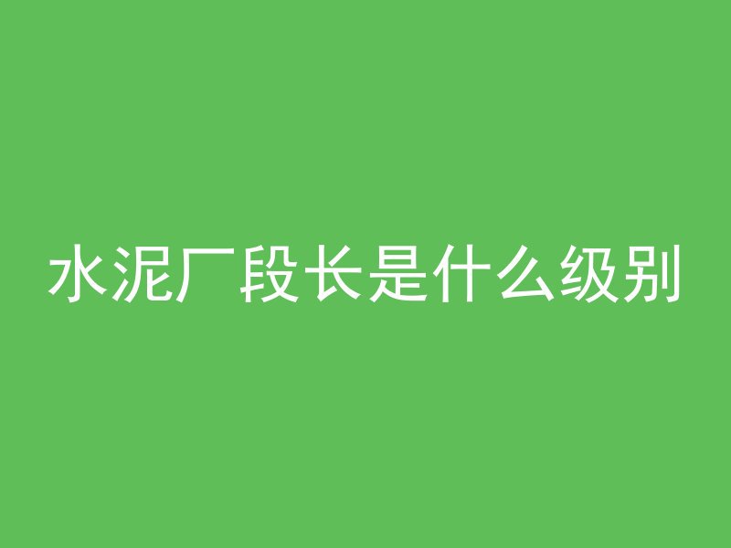 水泥厂段长是什么级别