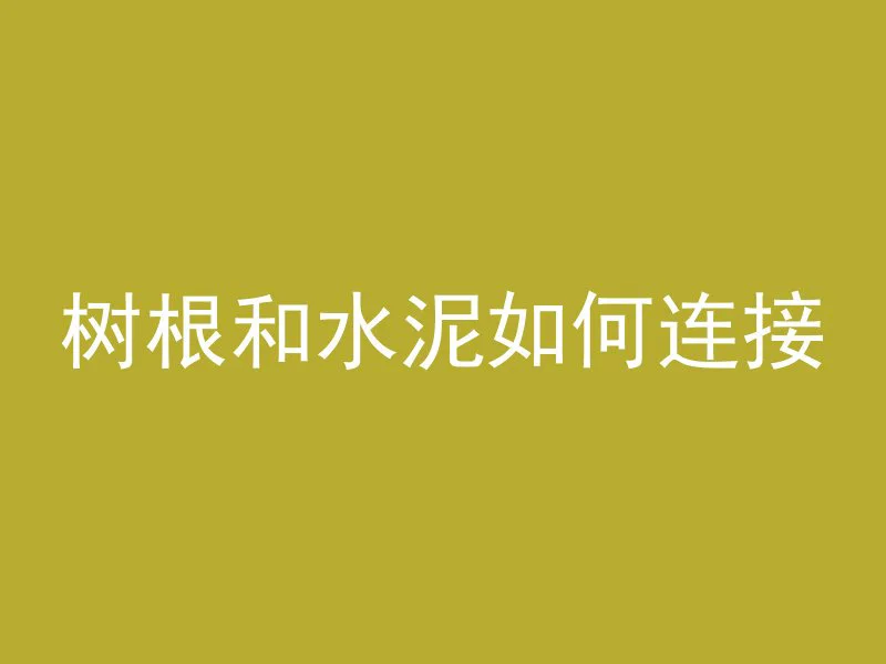 树根和水泥如何连接