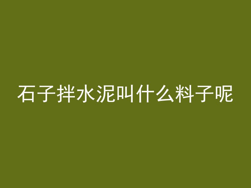 石子拌水泥叫什么料子呢