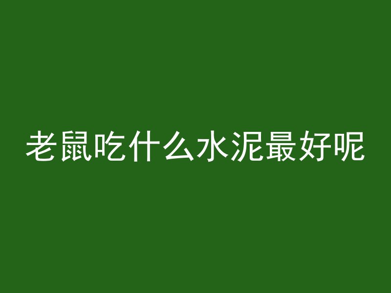 老鼠吃什么水泥最好呢