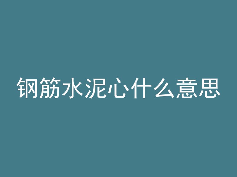 钢筋水泥心什么意思