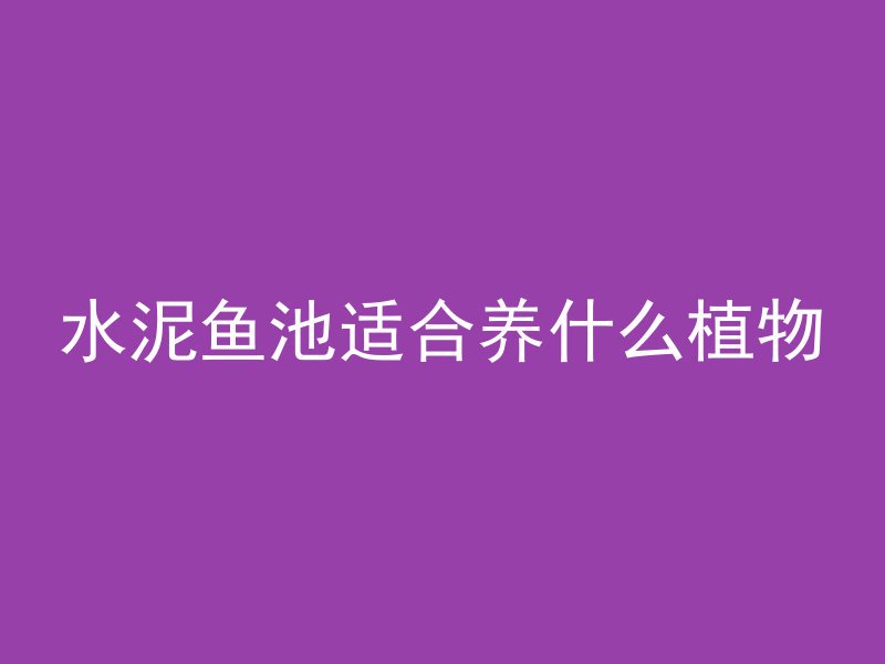 什么容易分解混凝土