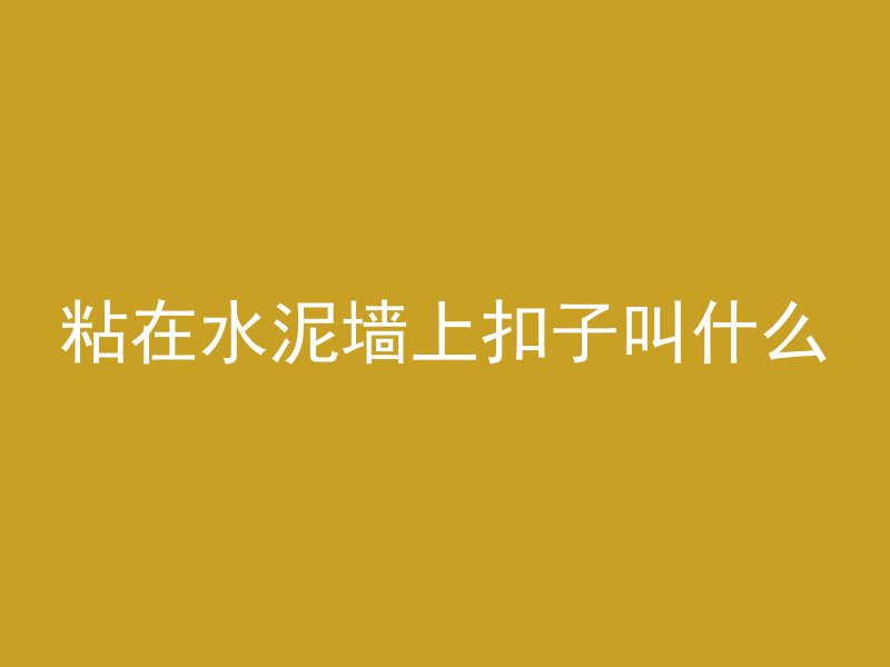 粘在水泥墙上扣子叫什么