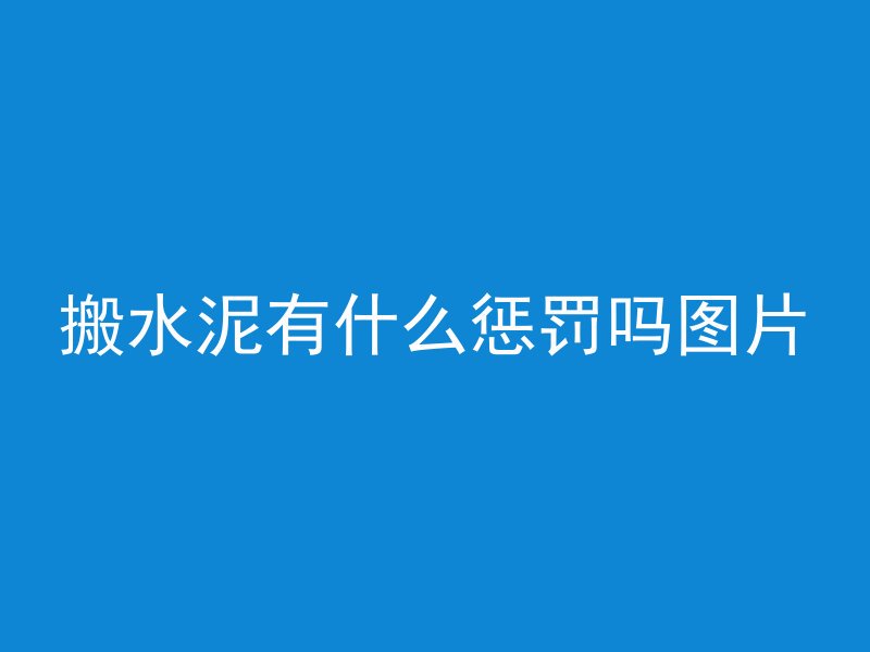 搬水泥有什么惩罚吗图片