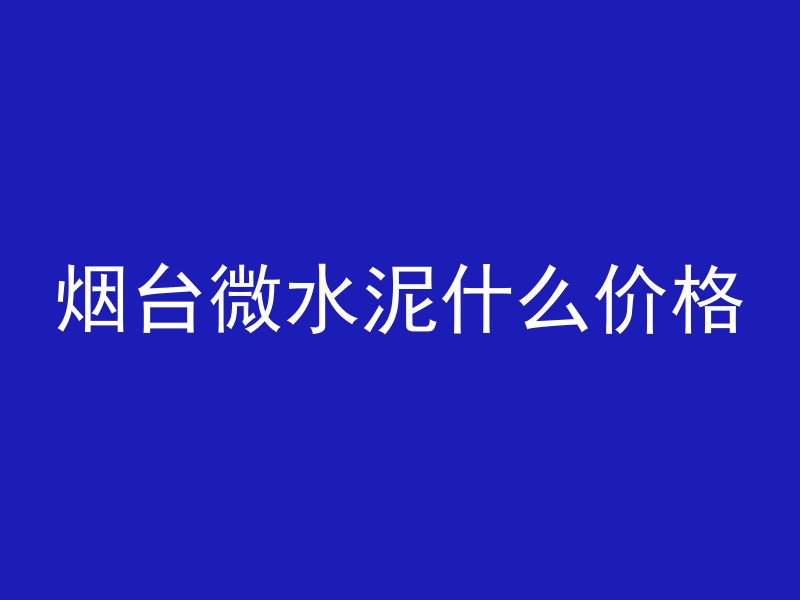 烟台微水泥什么价格