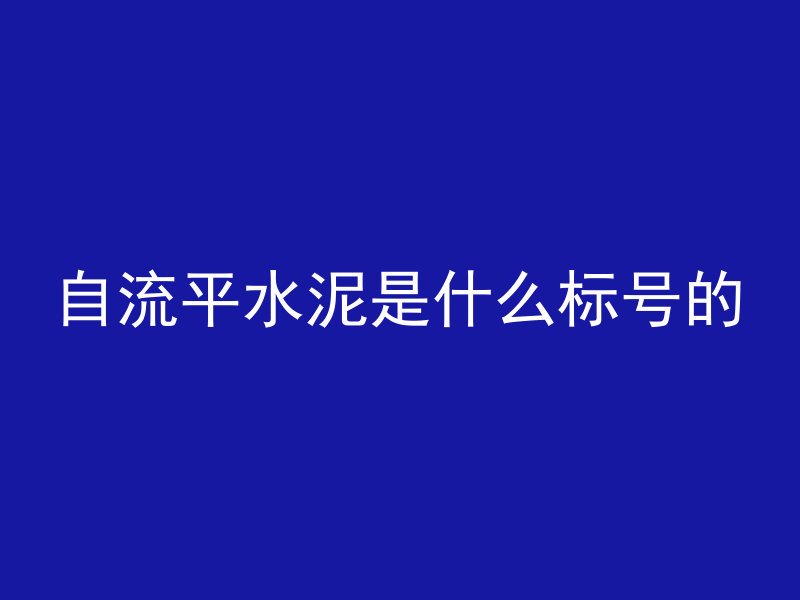 自流平水泥是什么标号的