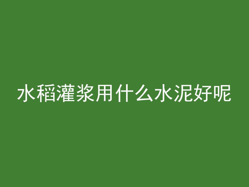 水稻灌浆用什么水泥好呢