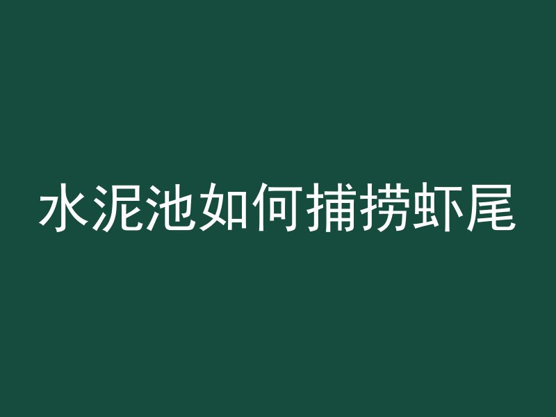 水泥池如何捕捞虾尾