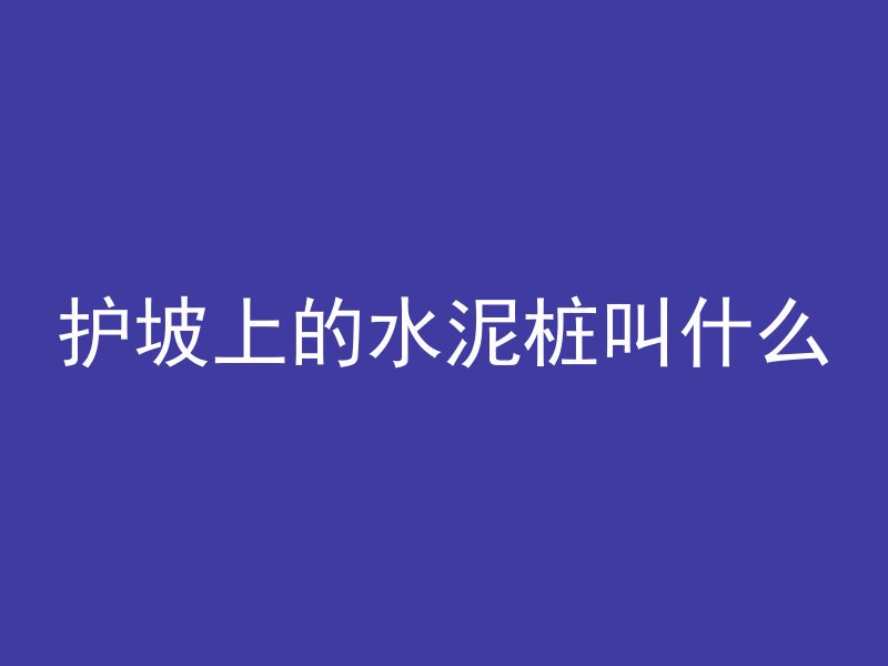 护坡上的水泥桩叫什么