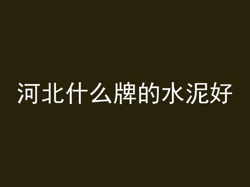 河北什么牌的水泥好