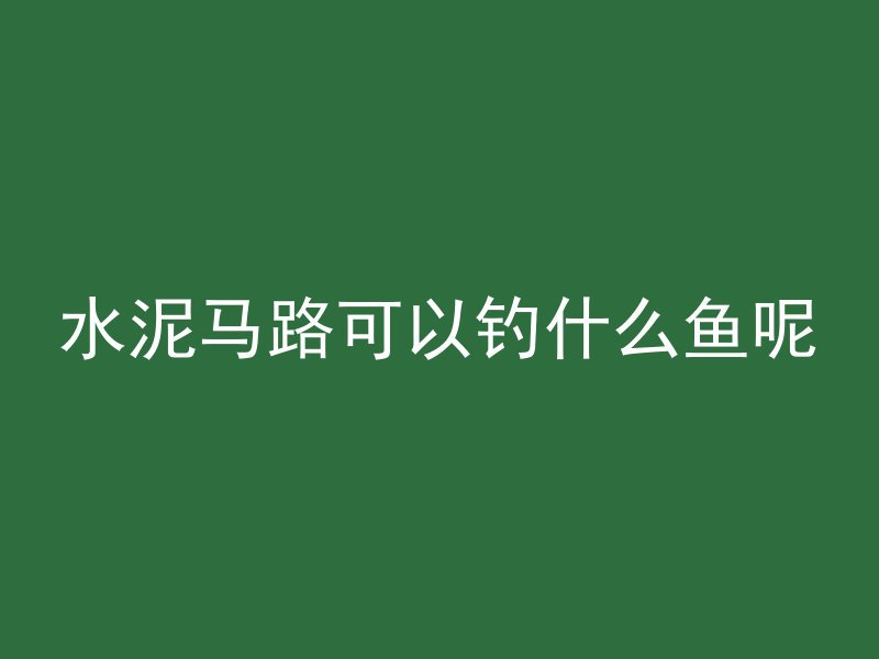 水泥马路可以钓什么鱼呢