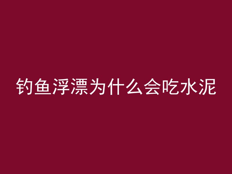 钓鱼浮漂为什么会吃水泥