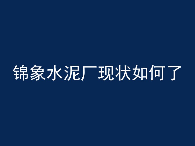 锦象水泥厂现状如何了