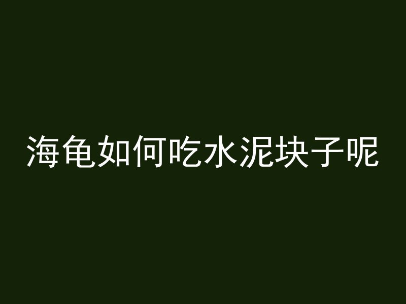 海龟如何吃水泥块子呢